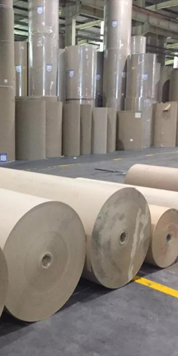Paper Industry