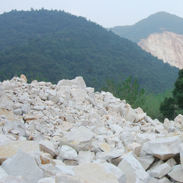 Raw material advantage